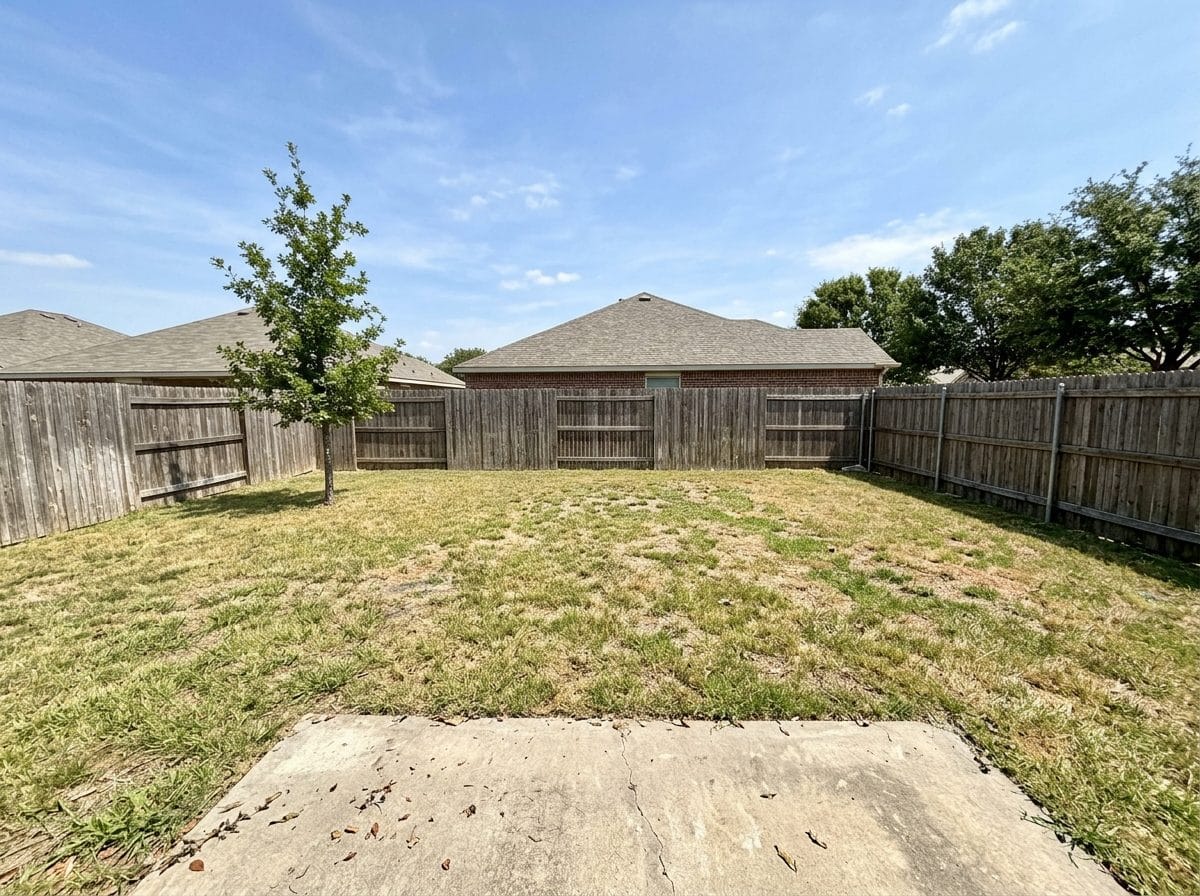 A backyard, before